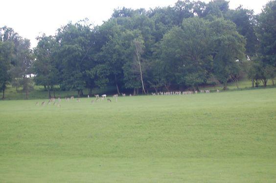 DSC_0050 [50%] [50%].JPG